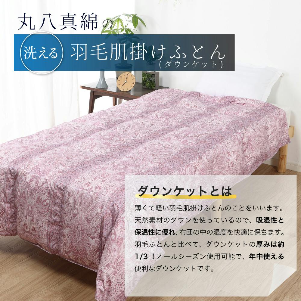 ハンガリー産ホワイトダックダウン85％ 羽毛肌掛け布団 シングル