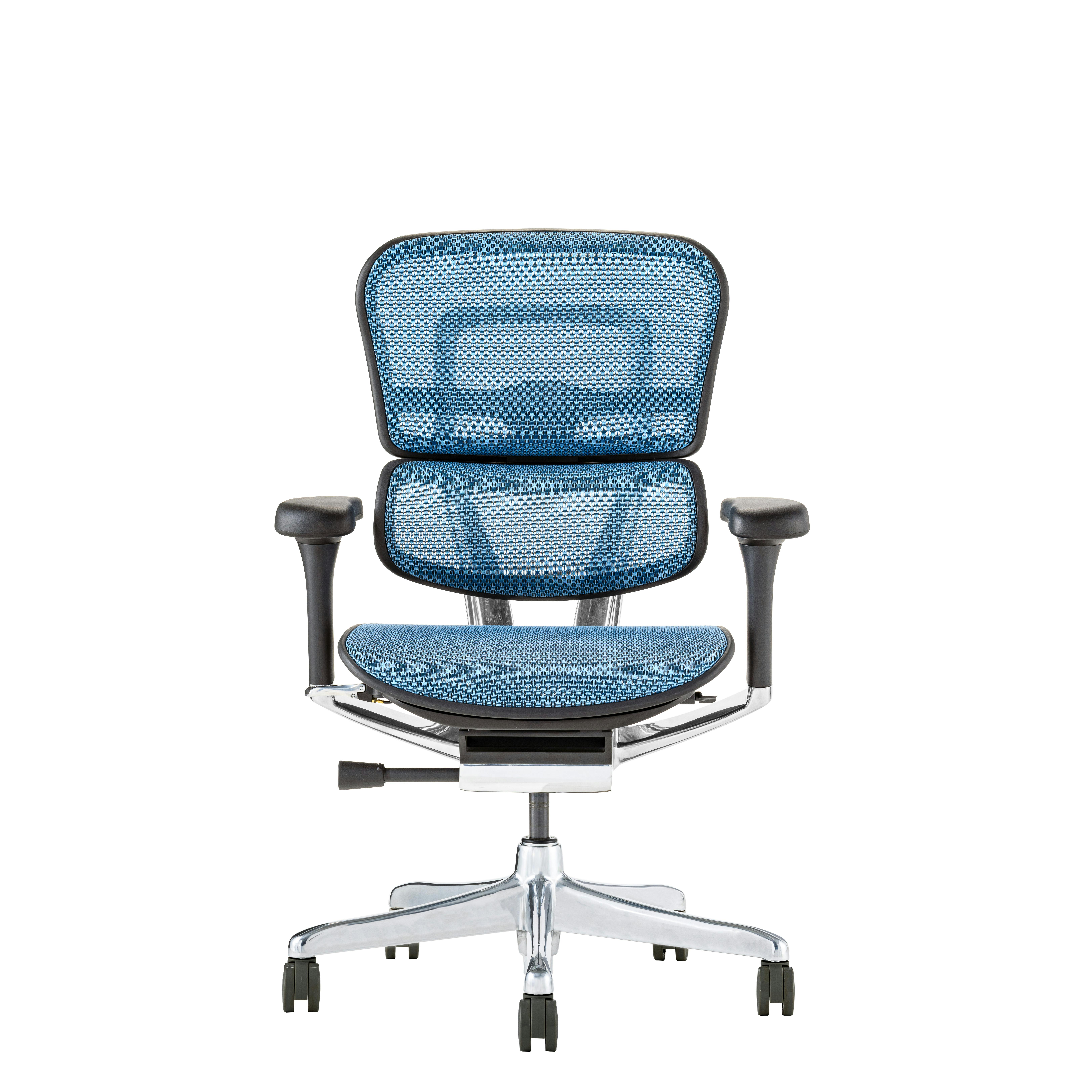 Ergohuman2(エルゴヒューマン2) オフィスチェア EHP2-LAM-DR-BF-BL 新