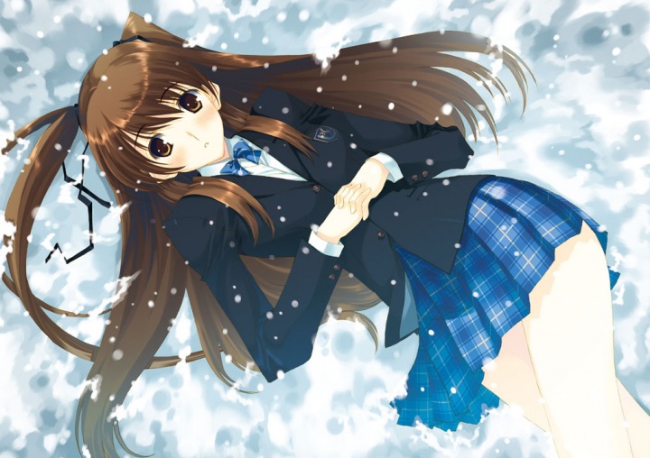 小木曽雪菜 / WHITE ALBUM2 Original Soundtrack 〜setsuna〜(24bit