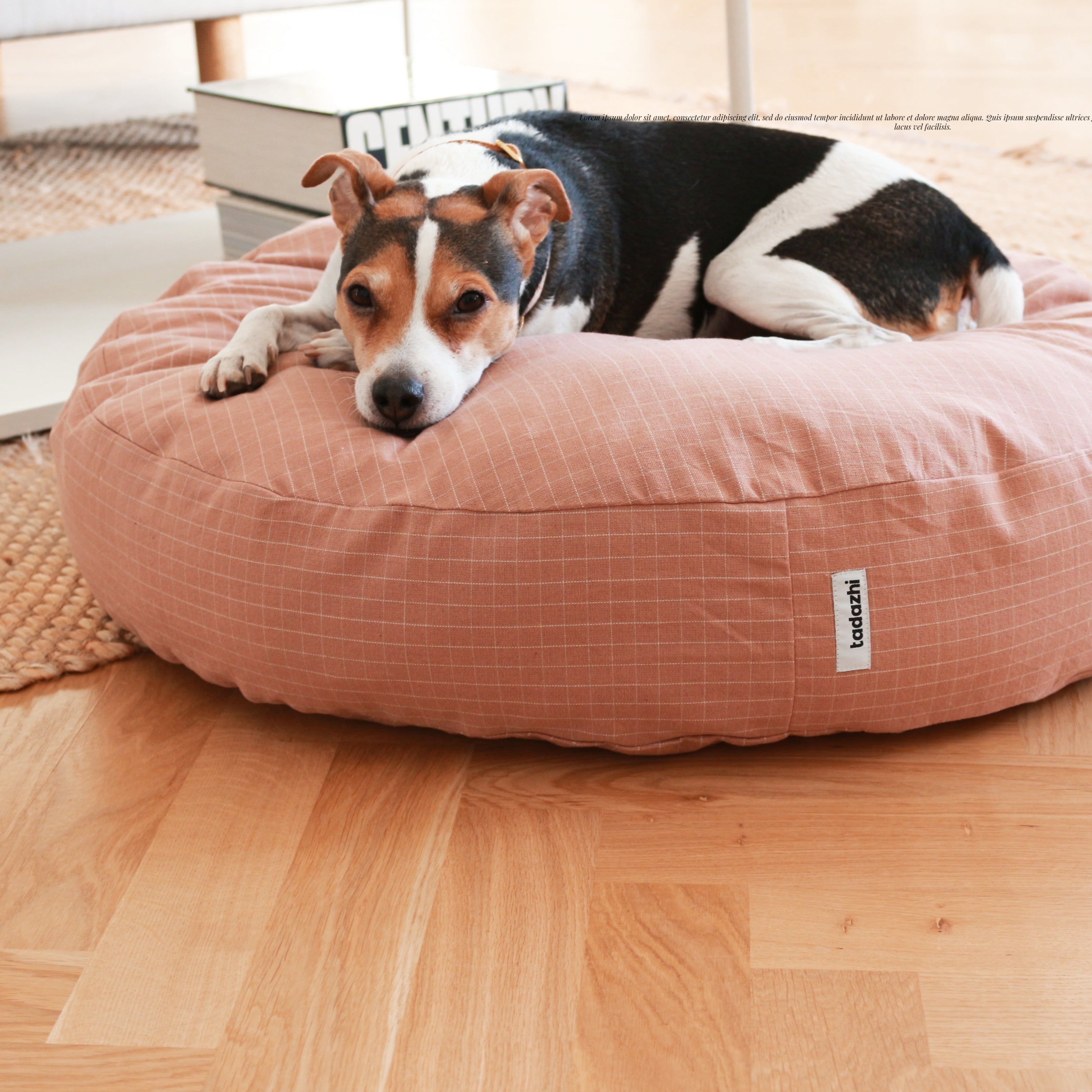 お散歩バッグ / BUCKET BAG BLACK LUXE – inunoco / いぬのこ