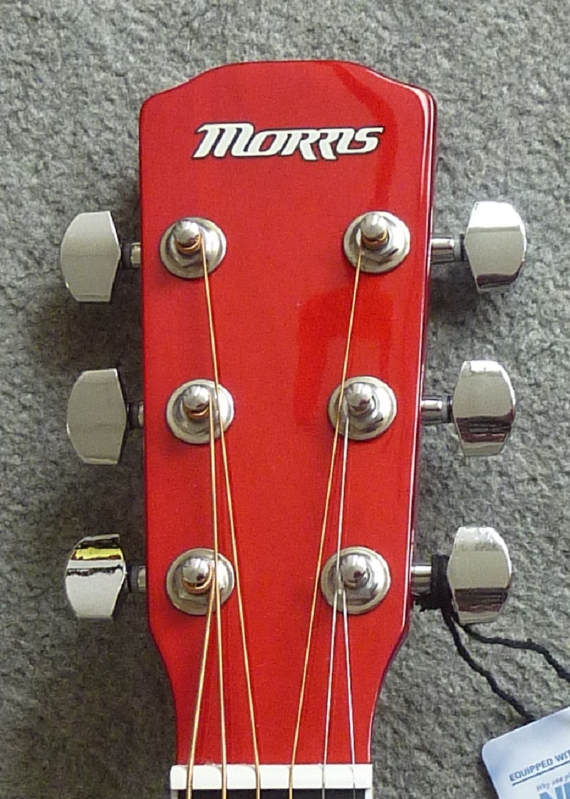 MORRIS/R-401 SR ￥SOLD | アコースティックプラザ井上楽器