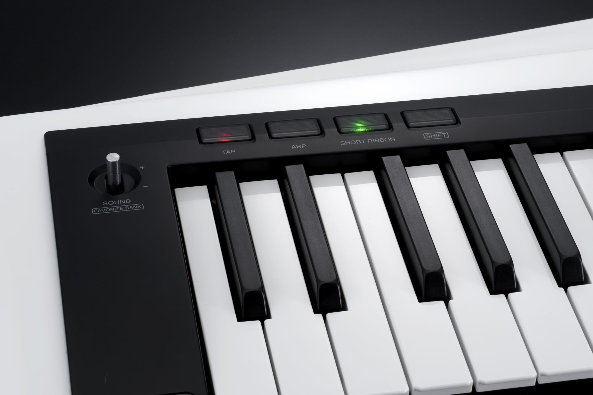 KORG RK-100S 2 WH | 人気のショルダーキーボード（キーター）に待望の