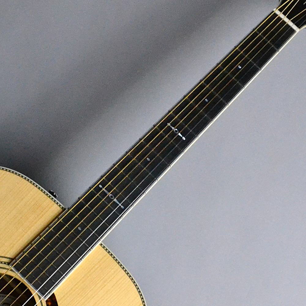 入荷情報】Fender – Paramount Series PM-1 Limited Adirondack