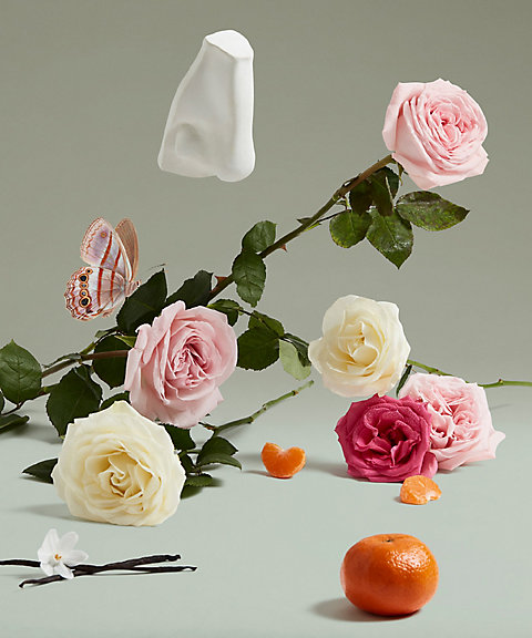 ペンハリガン（PENHALIGONS） ザ コヴェテッド デュシェス ローズ