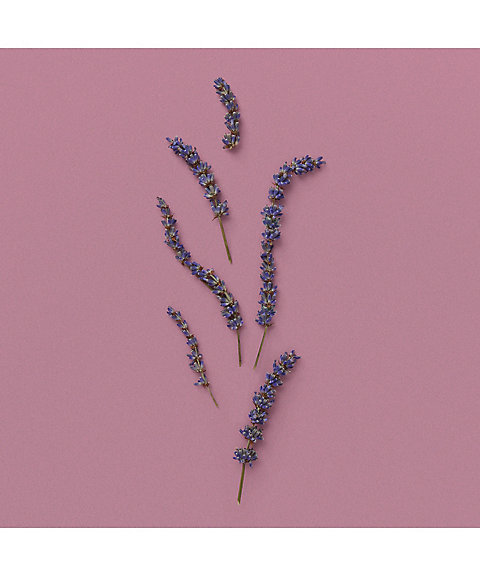 GUCCI beauty（GUCCI beauty） グッチ ムーンライト セレナーデ