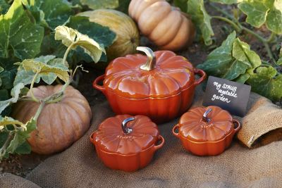 ZWILLINGおまとめ】セラミックパンプキンココット シナモン