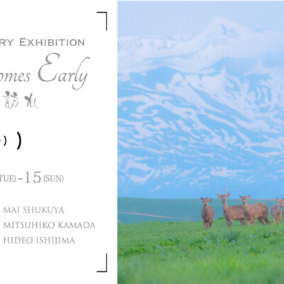 Photo Zoo Book / 坂崎幸之助動物写真集 | Island Gallery