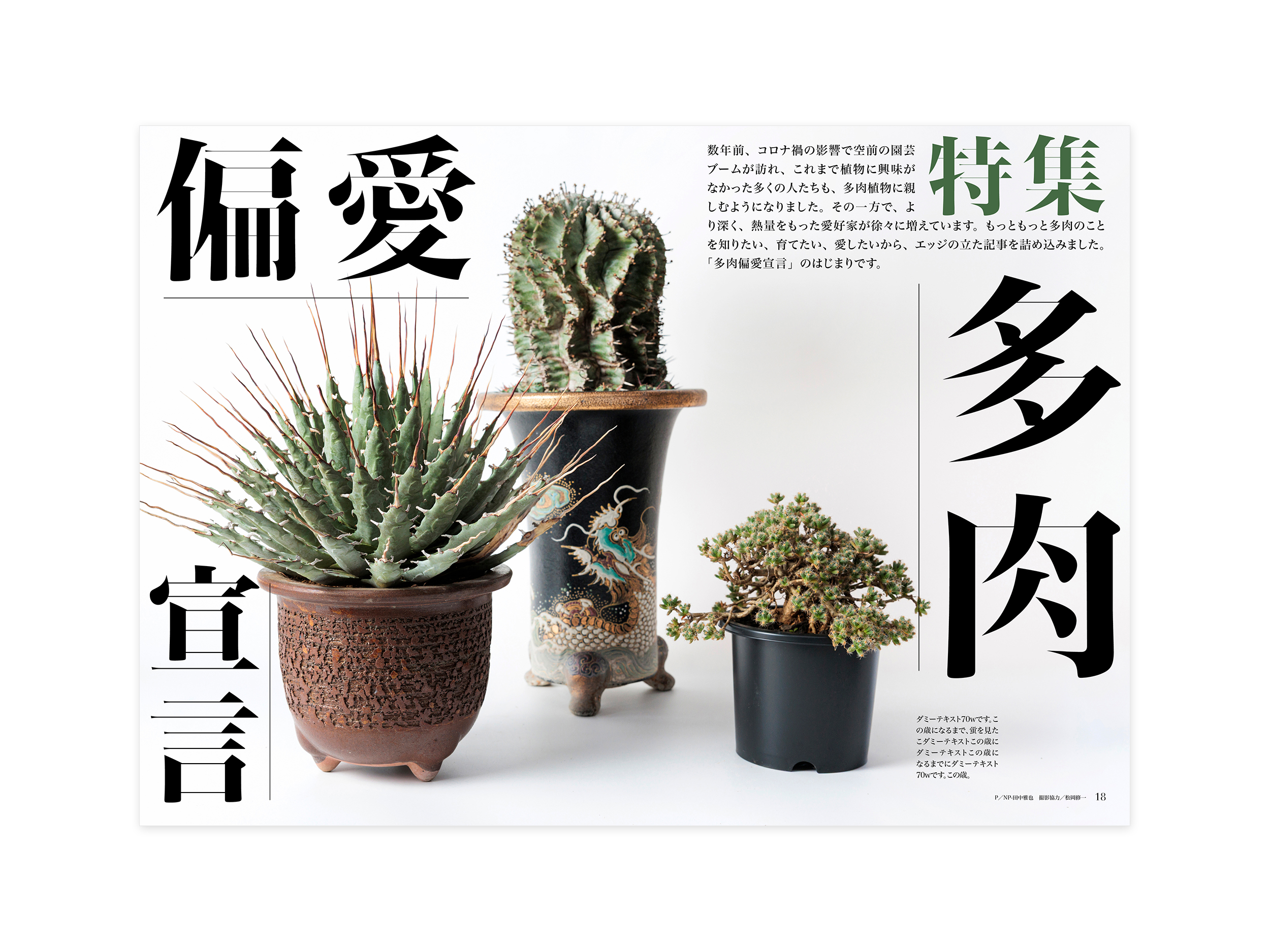 Shumi no Engei September 2025 | Okamoto Issen Graphic Design Co.,Ltd.