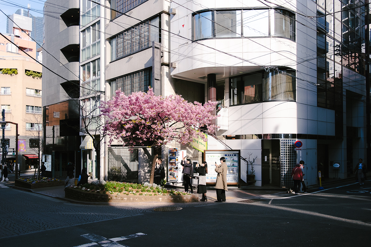 Xシリーズユーザーインタビュー】その空間ごと掬い上げるように風景を