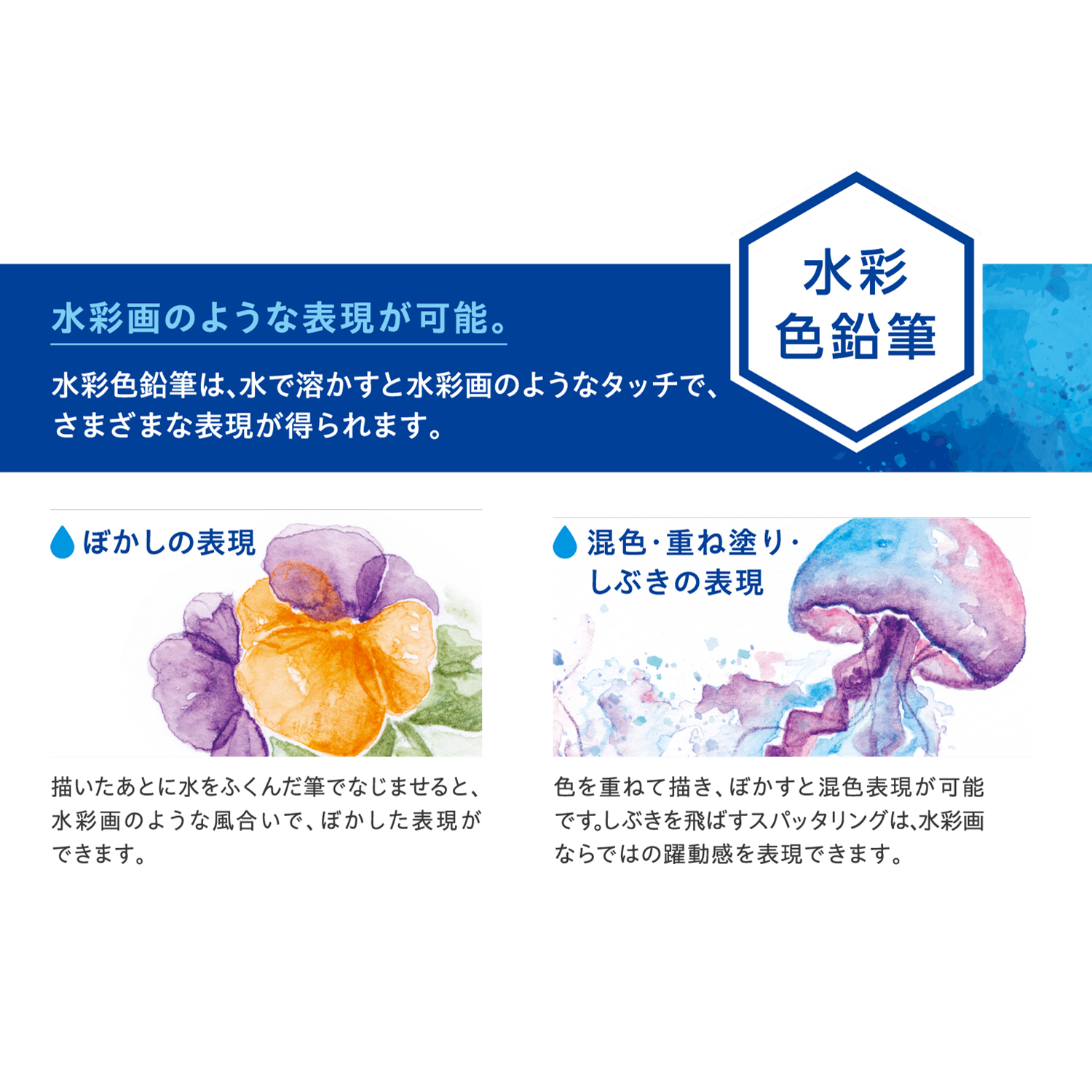 Artline 水彩色鉛筆 36色セット|KCP-W36C/H|商品カタログ|シヤチハタ