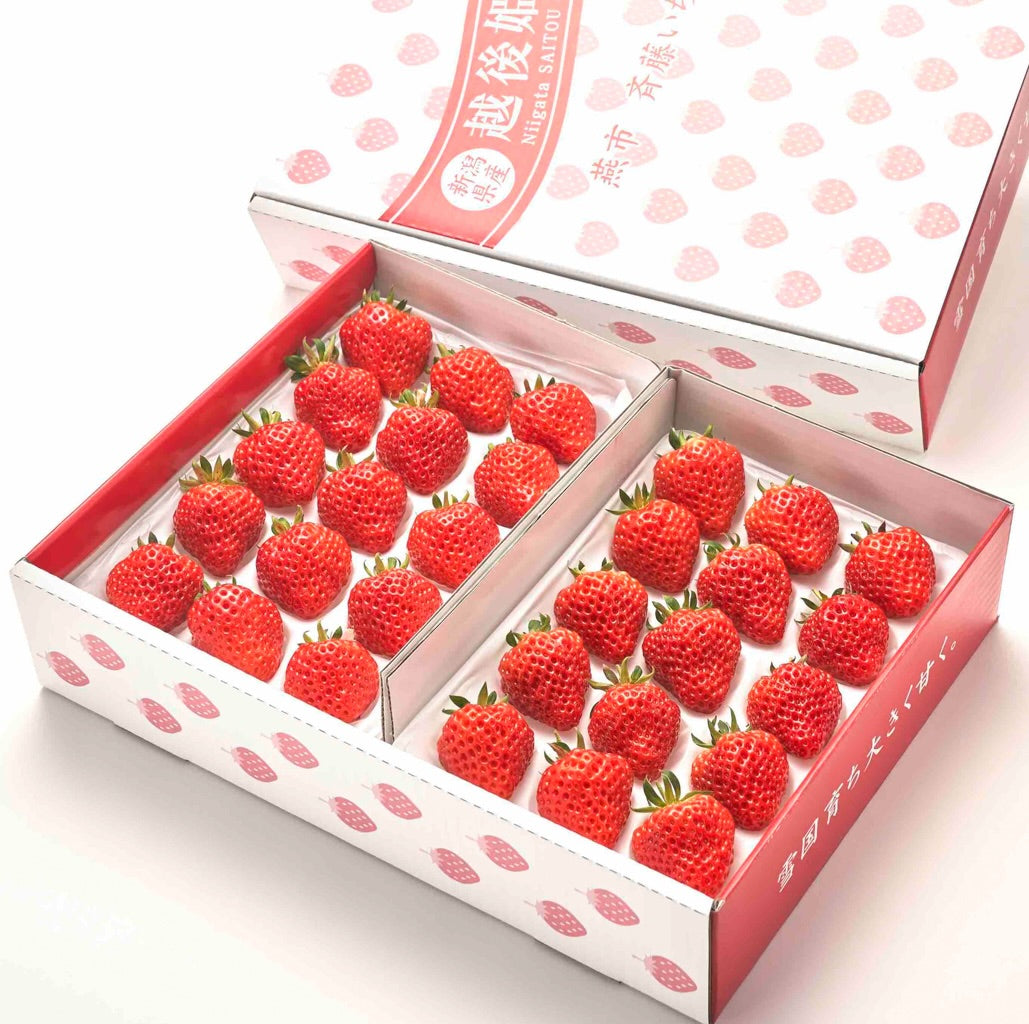 斉藤いちご園｜新潟県燕市 越後姫専門