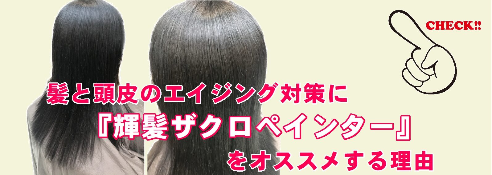 輝髪ザクロペインター】しみない・かぶれない・傷まない白髪染め | J