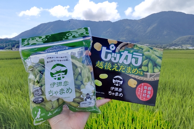 弥彦村の「伊彌彦ちゃまめ」を使用したスナック菓子商品化 | JA新潟