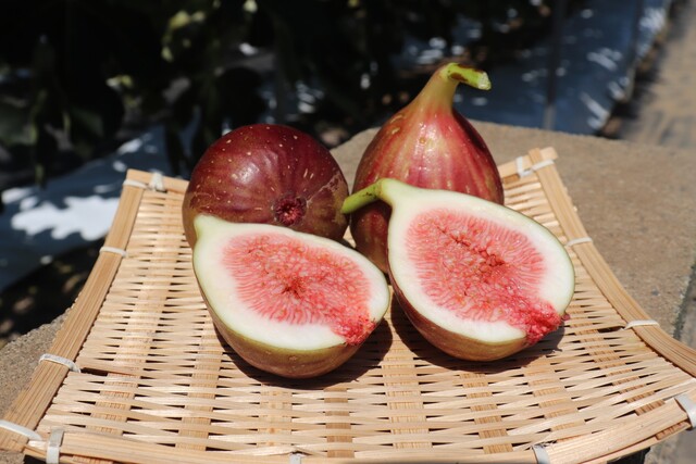 いちじく「越の雫」出荷ピーク | JA新潟かがやき