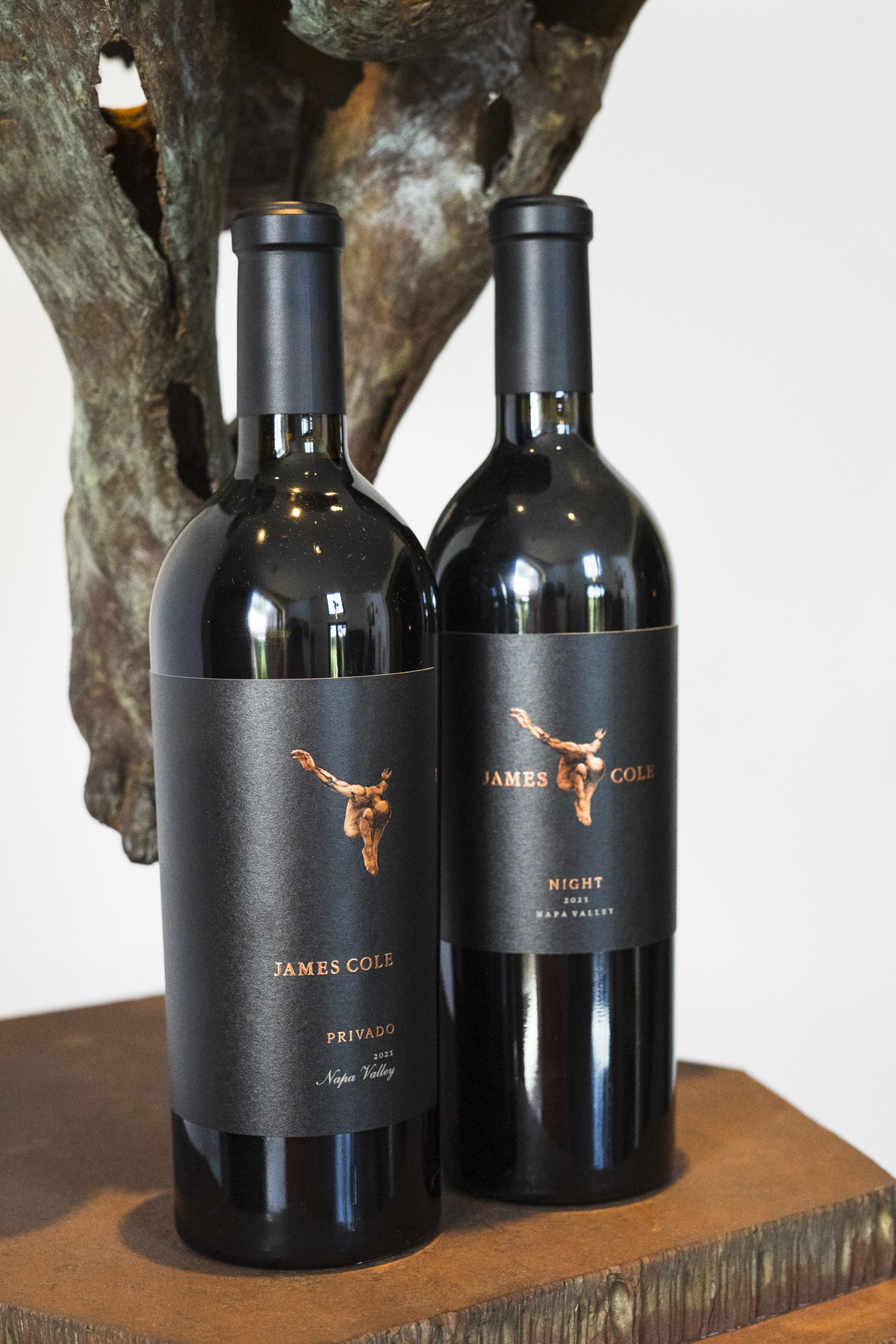 2014 Il Mostro Red Wine — James Cole Winery
