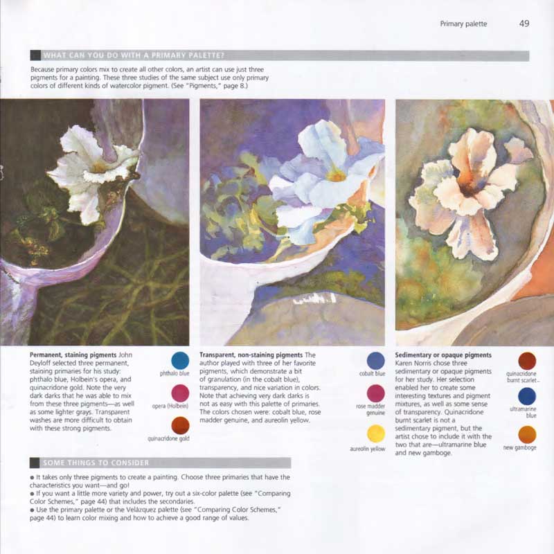 Ebook (pdf) - The Watercolor Artist's Guide to Exceptional Color