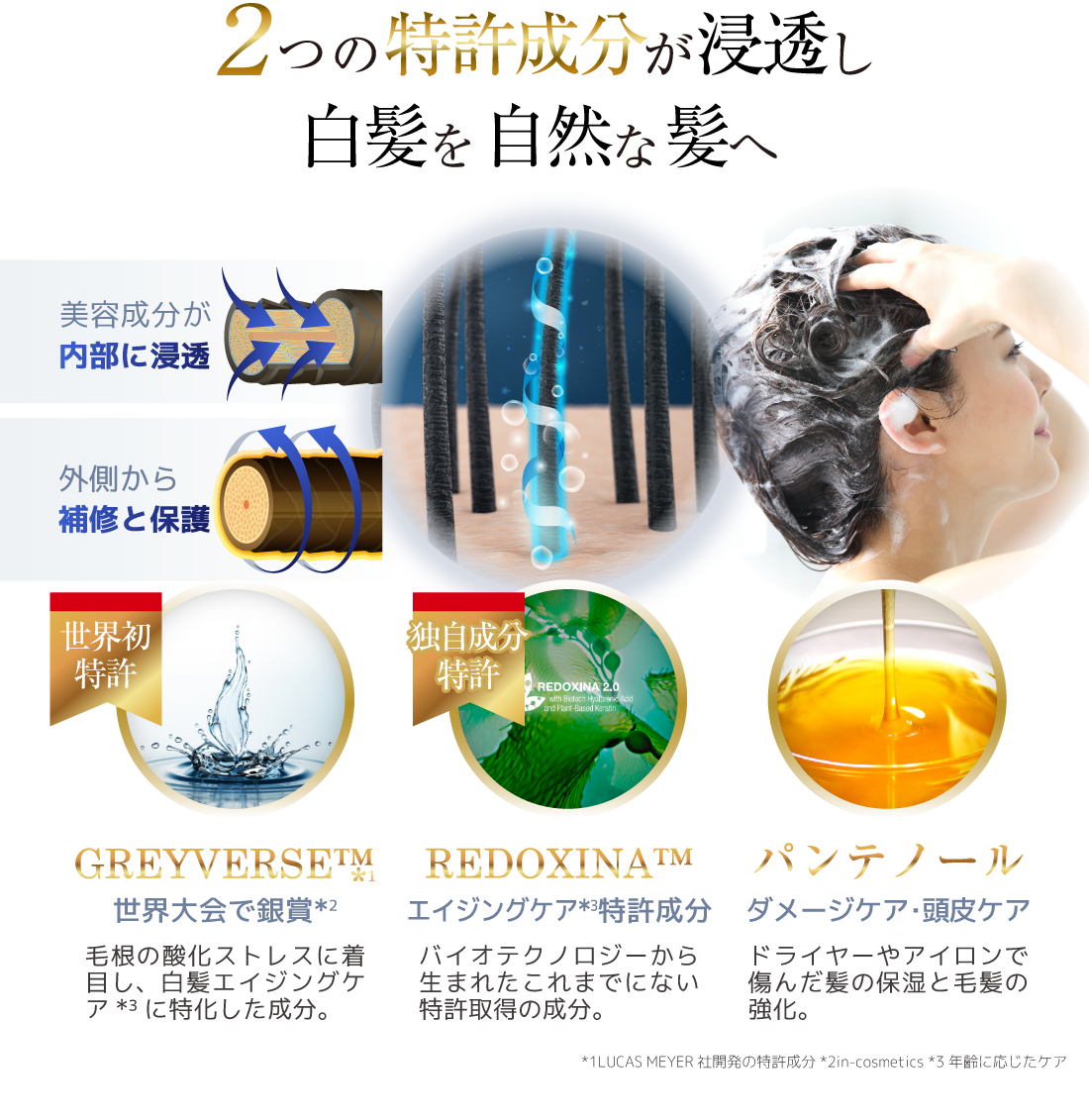 エルゴン公式ショップ | GHリバースラインのご紹介