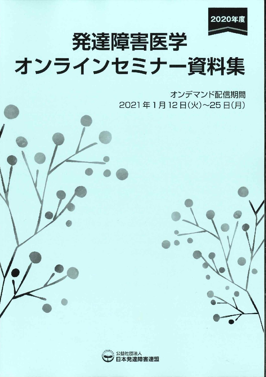 AAIDD知的障害マニュアル 第12版 定義・診断・分類および支援