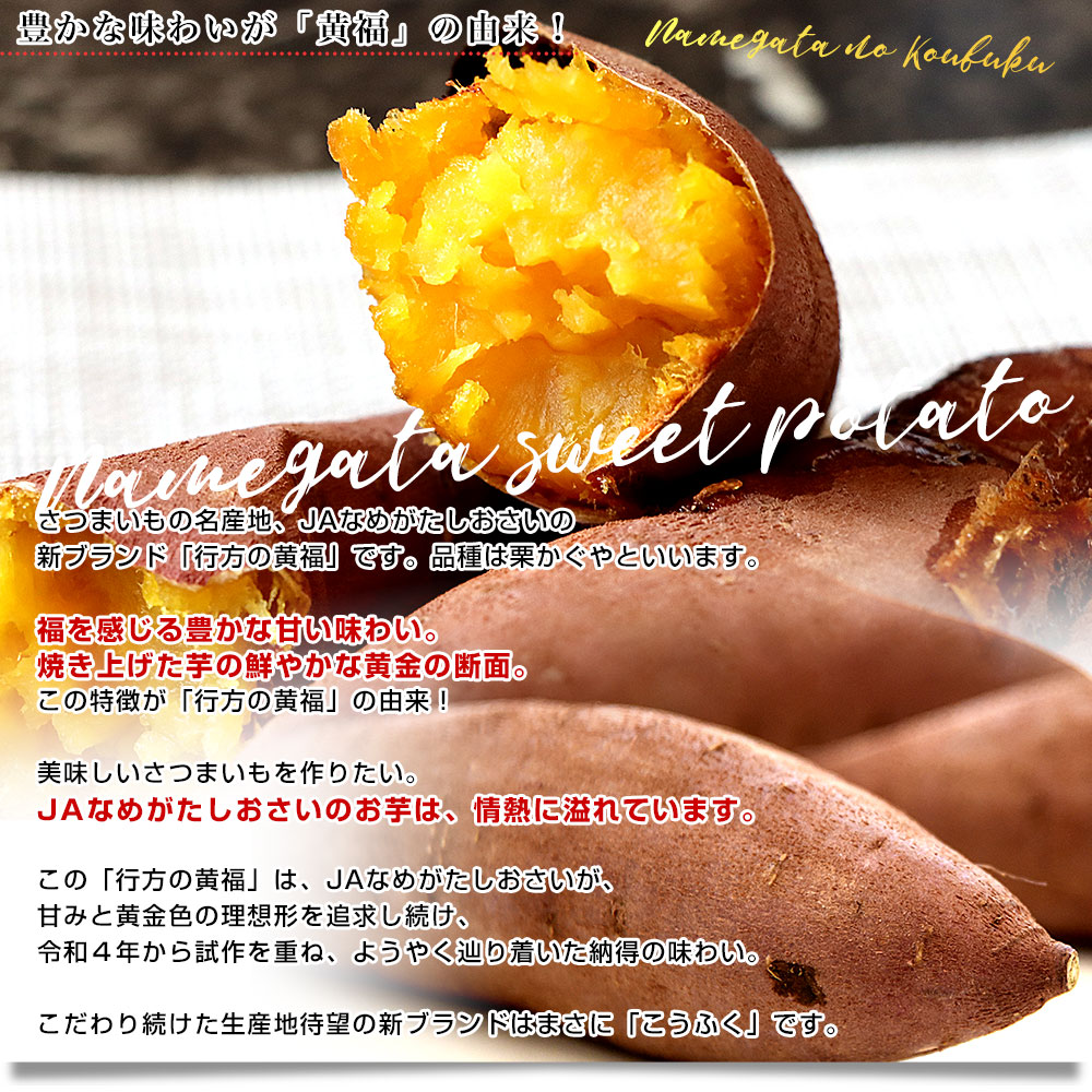 茨城県より産地直送 JAなめがたしおさい さつまいも 行方の黄福（なめ