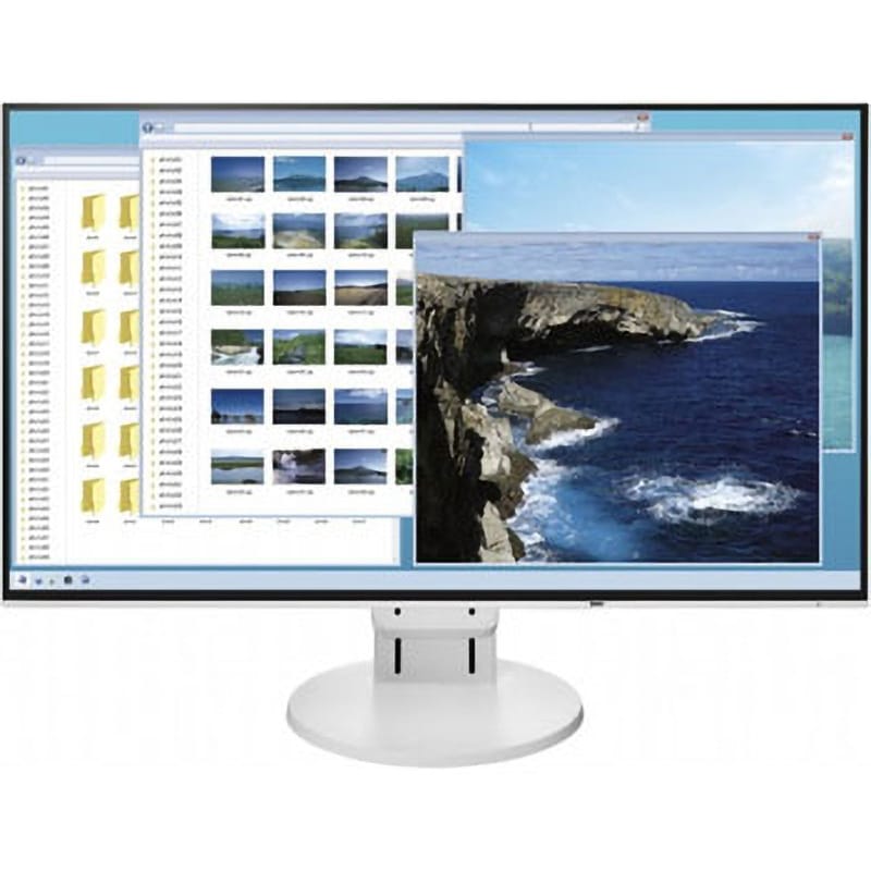 EV2456-WT 61cm(24．1)型カラー液晶モニター FlexScan EV2456 1台 EIZO