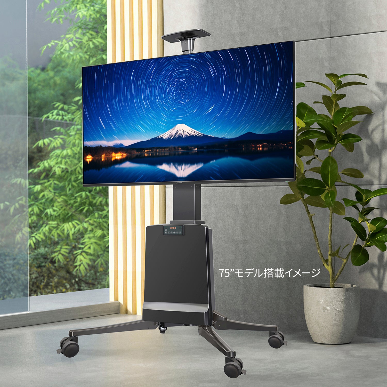 ディスプレイTV 50インチ ＜DIS-550＞ L1※モニタではございません