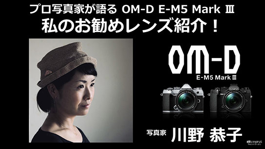 M.ZUIKO DIGITAL レンズ おすすめ情報 | デジタル一眼カメラ