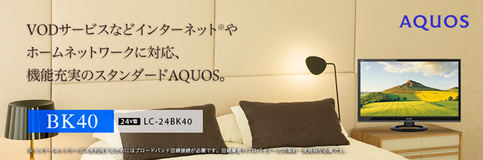 SHARP AQUOS 24型 液晶テレビ LC-24BK40 2021年製 SHARP AQUOS 24型 液晶テレビ LC-24BK40 2021年製 HARP（シャープ）の