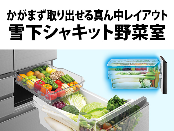 シャープ 冷蔵庫 502L 観音開き 6ドア 幅68.5cm 循環プラズマ