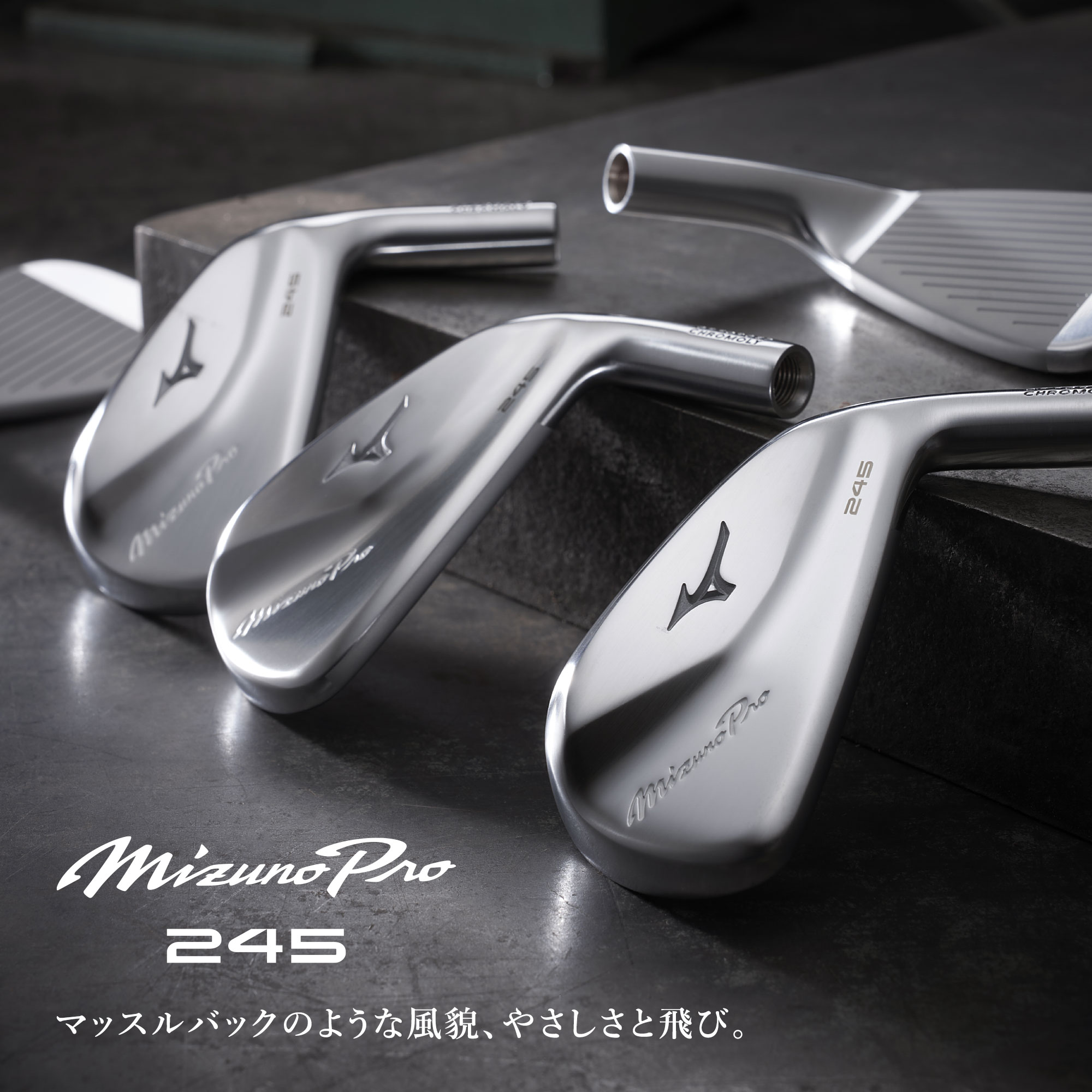 Mizuno Pro 245 アイアン 単品(No.4、GW)(Dynamic Gold 95 スチール