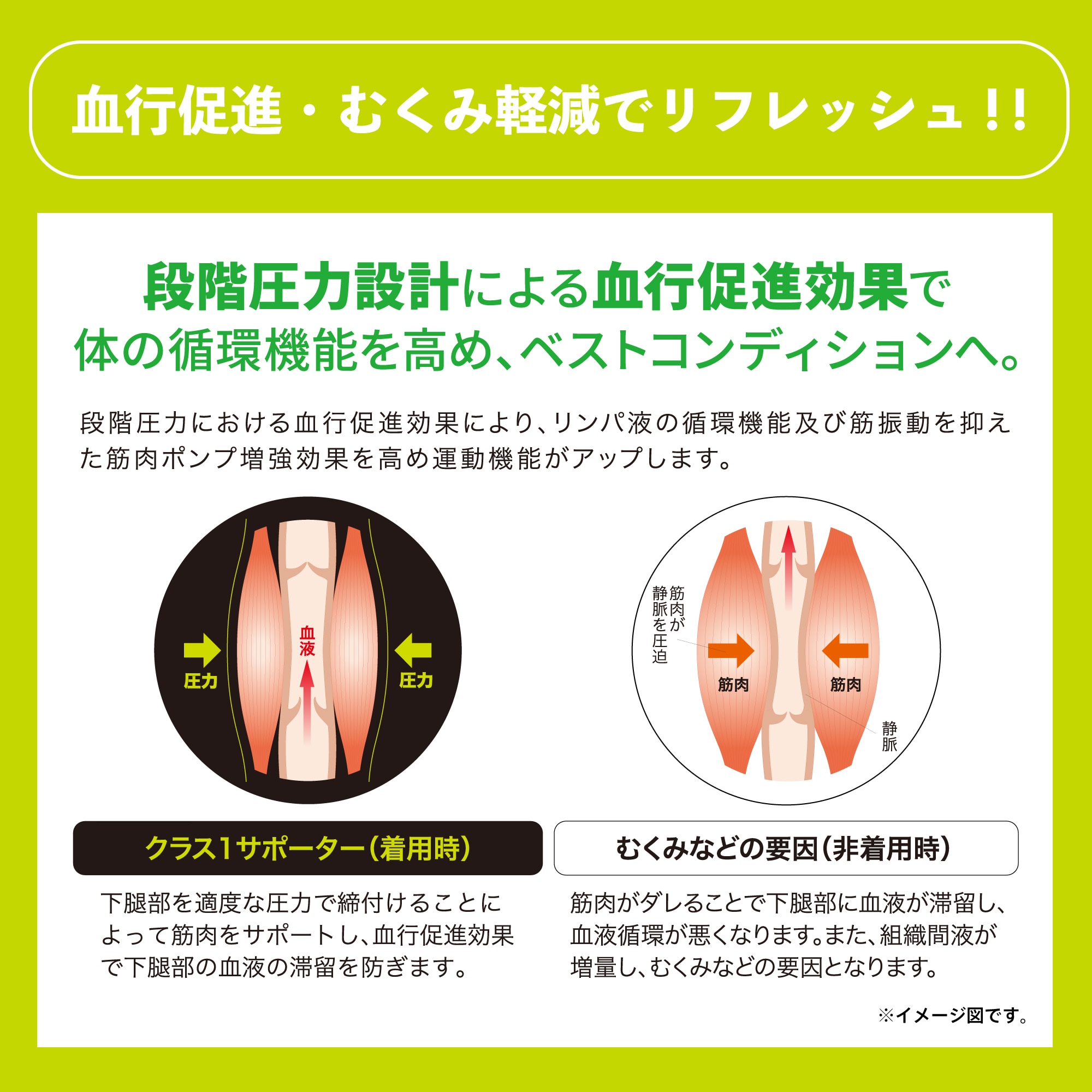 クラス1サポーターひざ用ロング（1枚入り）|C2JS8101|サポーター|健康