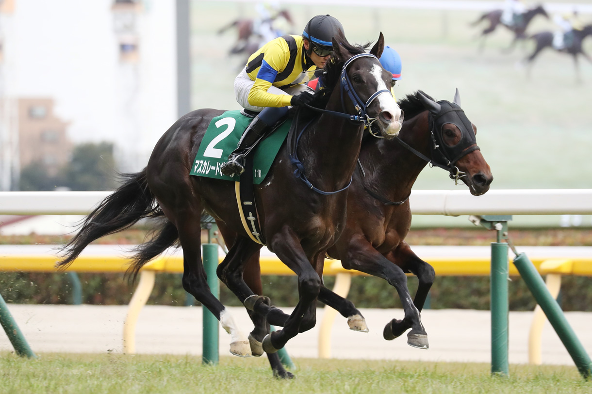 東京優駿（日本ダービー）2025 有力馬情報｜G1特集｜競馬情報ならJRA-VAN