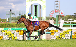 第88回 東京優駿（日本ダービー）｜G1特集｜競馬予想・競馬情報ならJRA-VAN