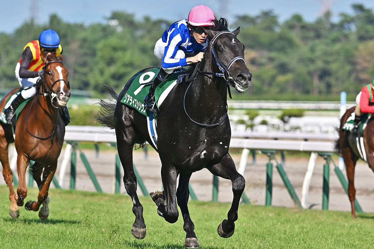 朝日杯フューチュリティステークス2025 有力馬情報｜G1特集｜競馬情報