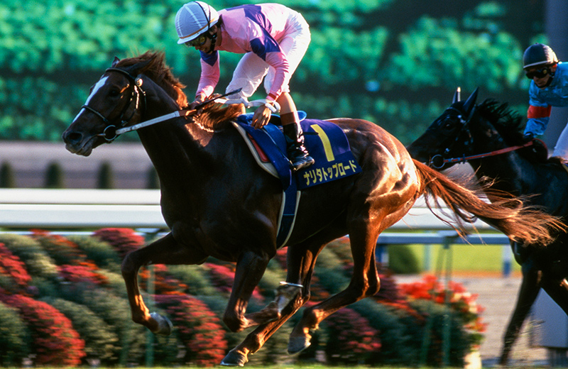 ナリタトップロード｜名馬メモリアル｜競馬情報ならJRA-VAN