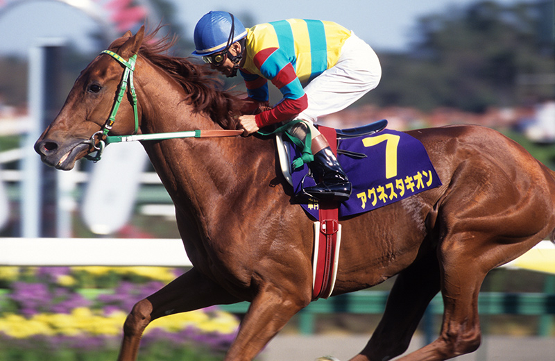 アグネスタキオン｜名馬メモリアル｜競馬情報ならJRA-VAN