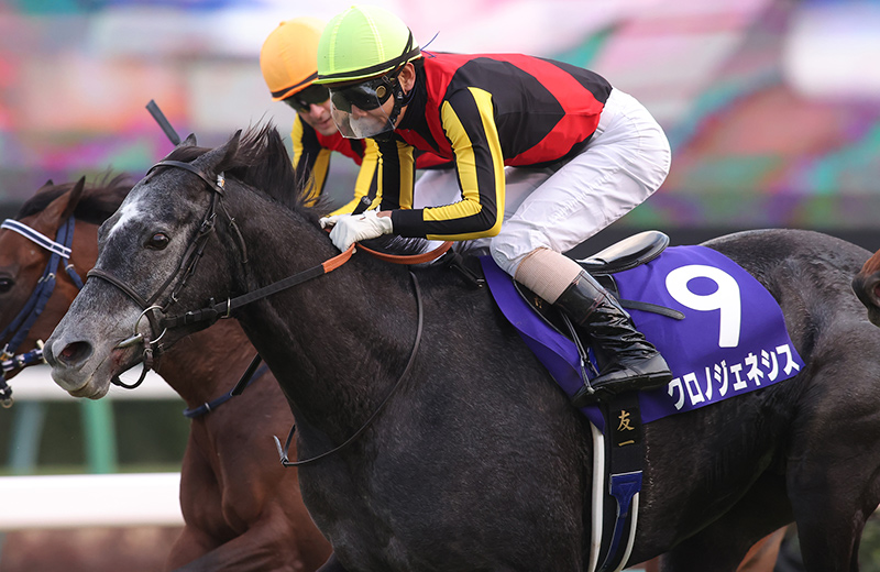 クロノジェネシス｜名馬メモリアル｜競馬情報ならJRA-VAN