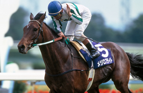 スペシャルウィーク｜名馬メモリアル｜競馬情報ならJRA-VAN