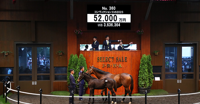 総括｜セレクトセール2023特集｜競馬情報ならJRA-VAN