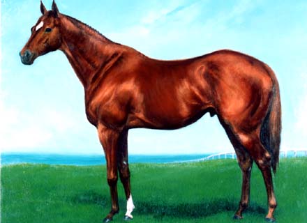 JRAホームページ｜データファイル｜競馬の殿堂
