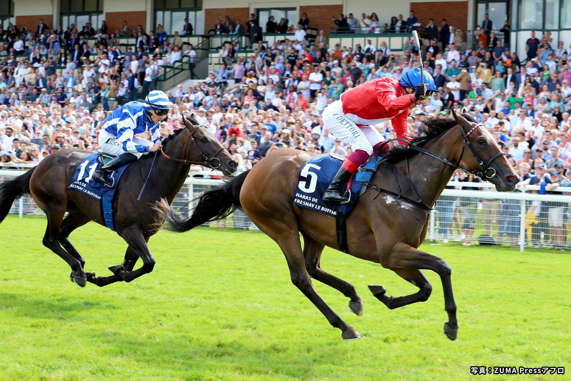 レース概要｜レース情報：2025年ジャックルマロワ賞 海外競馬発売 JRA