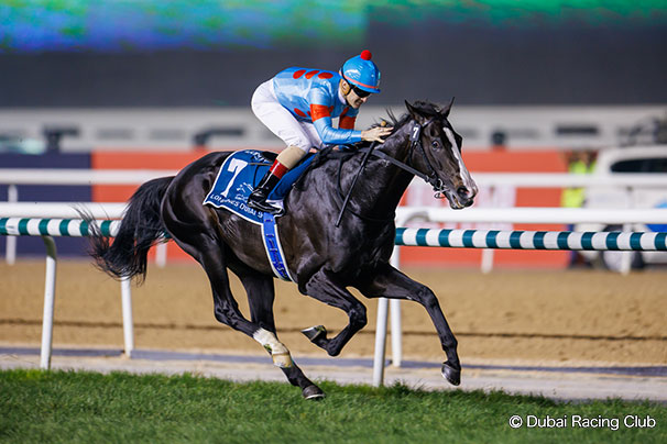 レース結果：2023年ドバイシーマクラシック 海外競馬発売 JRA