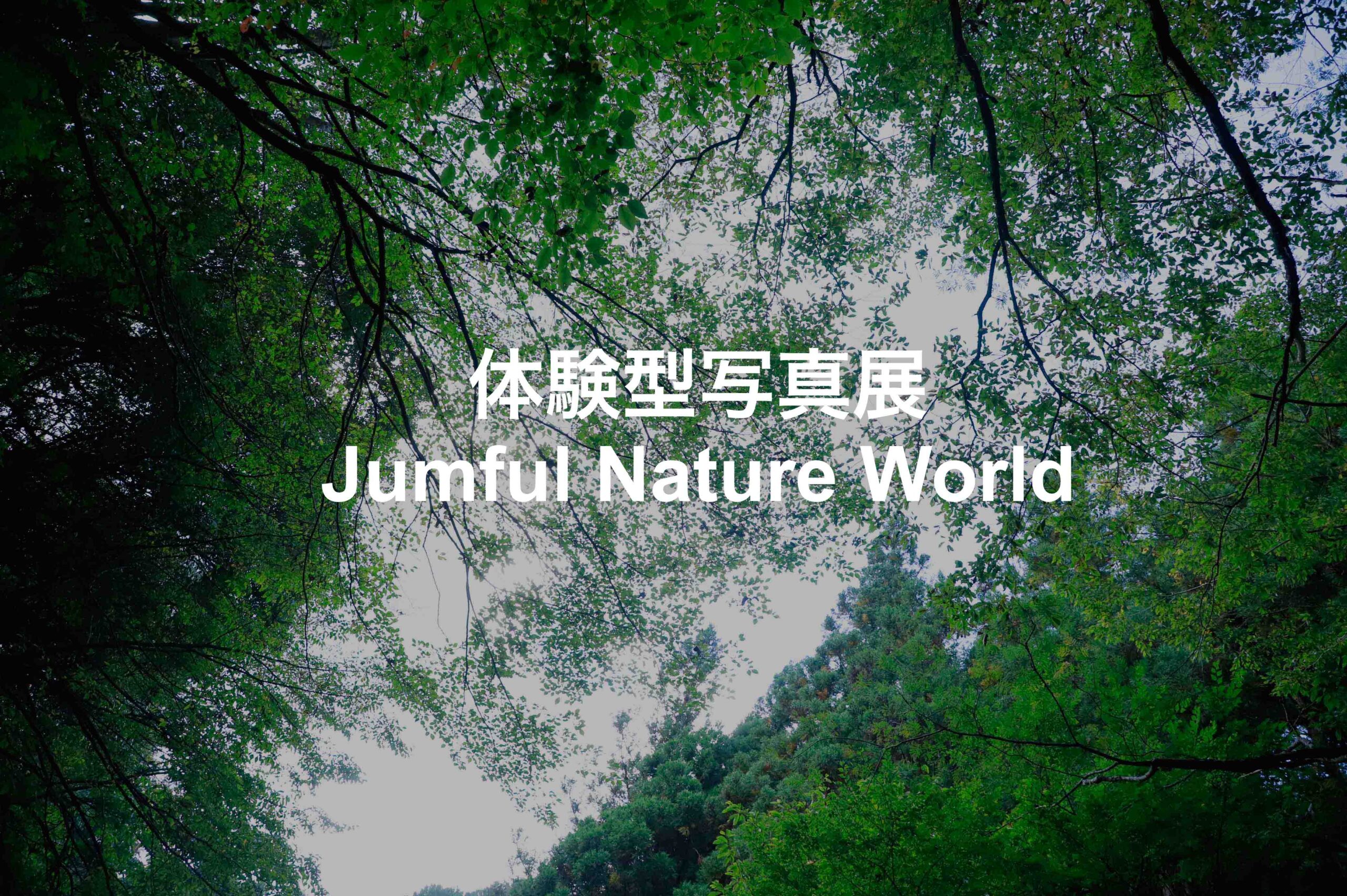 体験型写真展 Jumful Nature World- Photographs by Riichi Kawamoto