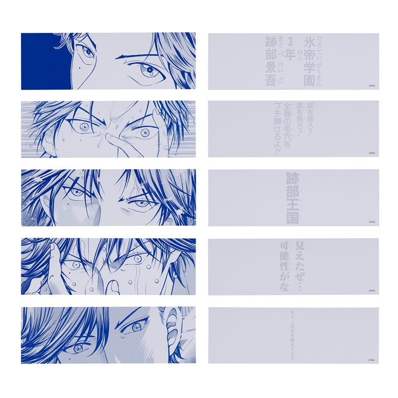 新テニスの王子様』眼力（インサイト）カード 5枚セット BD4