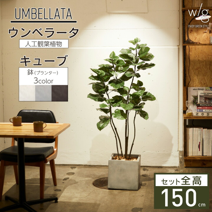 フェイクグリーン ウンベラータ×Cube w/g 高さ150cm ｜ JUICYFURNITURE