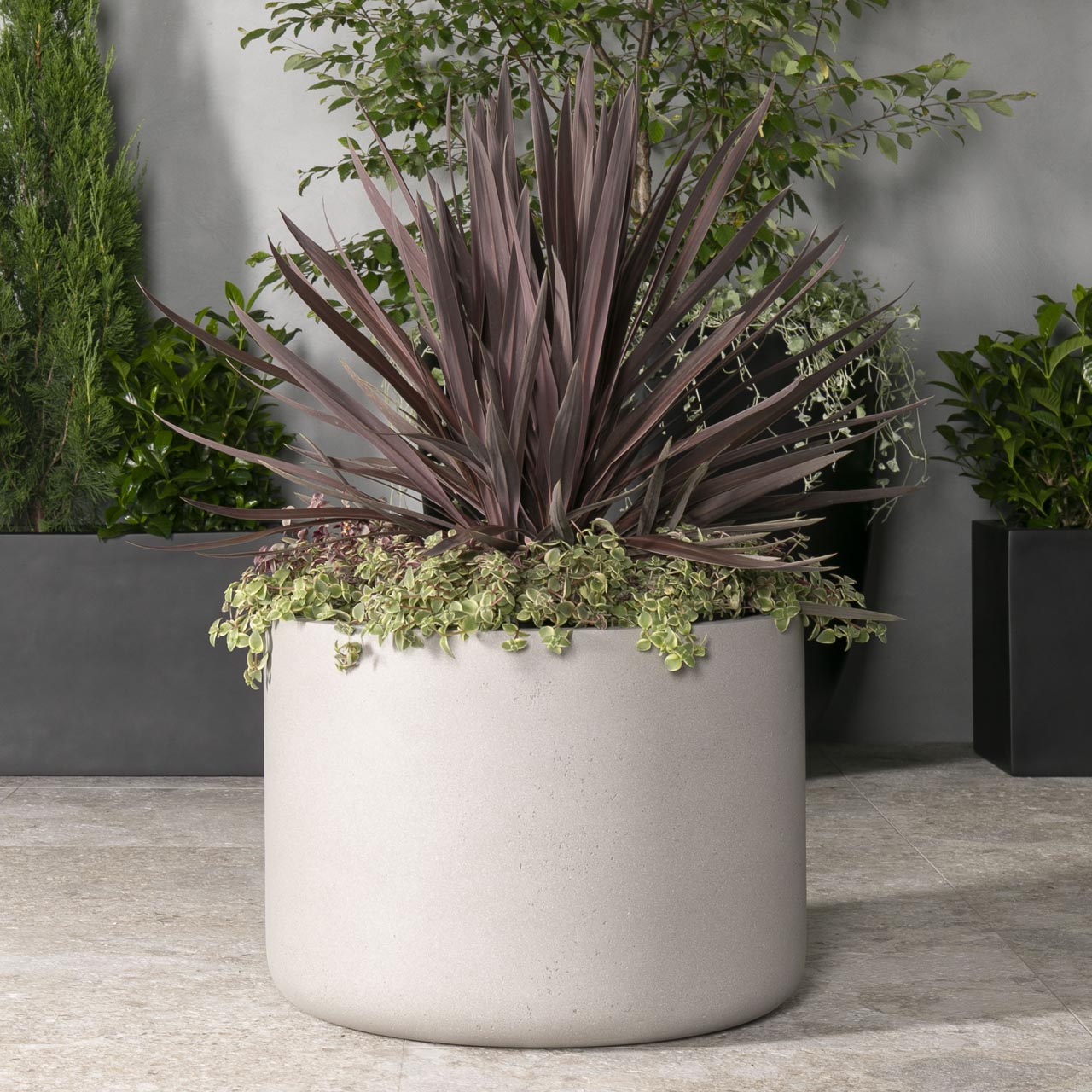 Brighton Low Cylinder | Just Add Plants