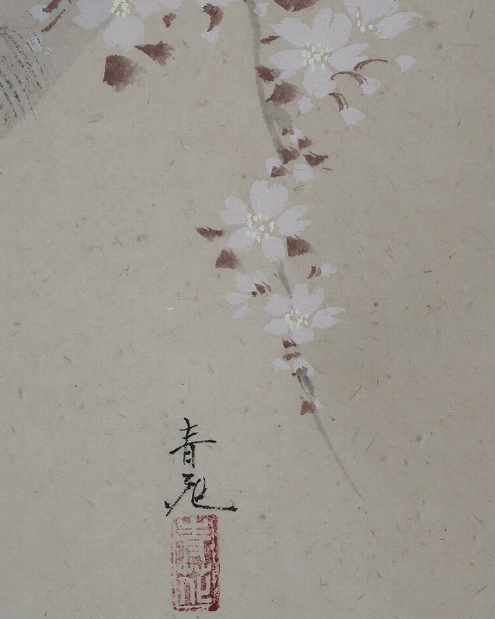 辰本青花 桜 | 掛軸(掛け軸)販売／表装ご依頼は掛軸いっぷく掛軸
