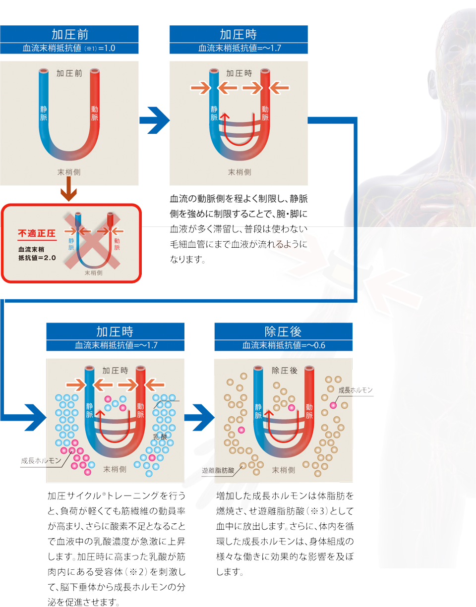 加圧サイクル® トレーニングとは | 加圧サイクル®トレーニング