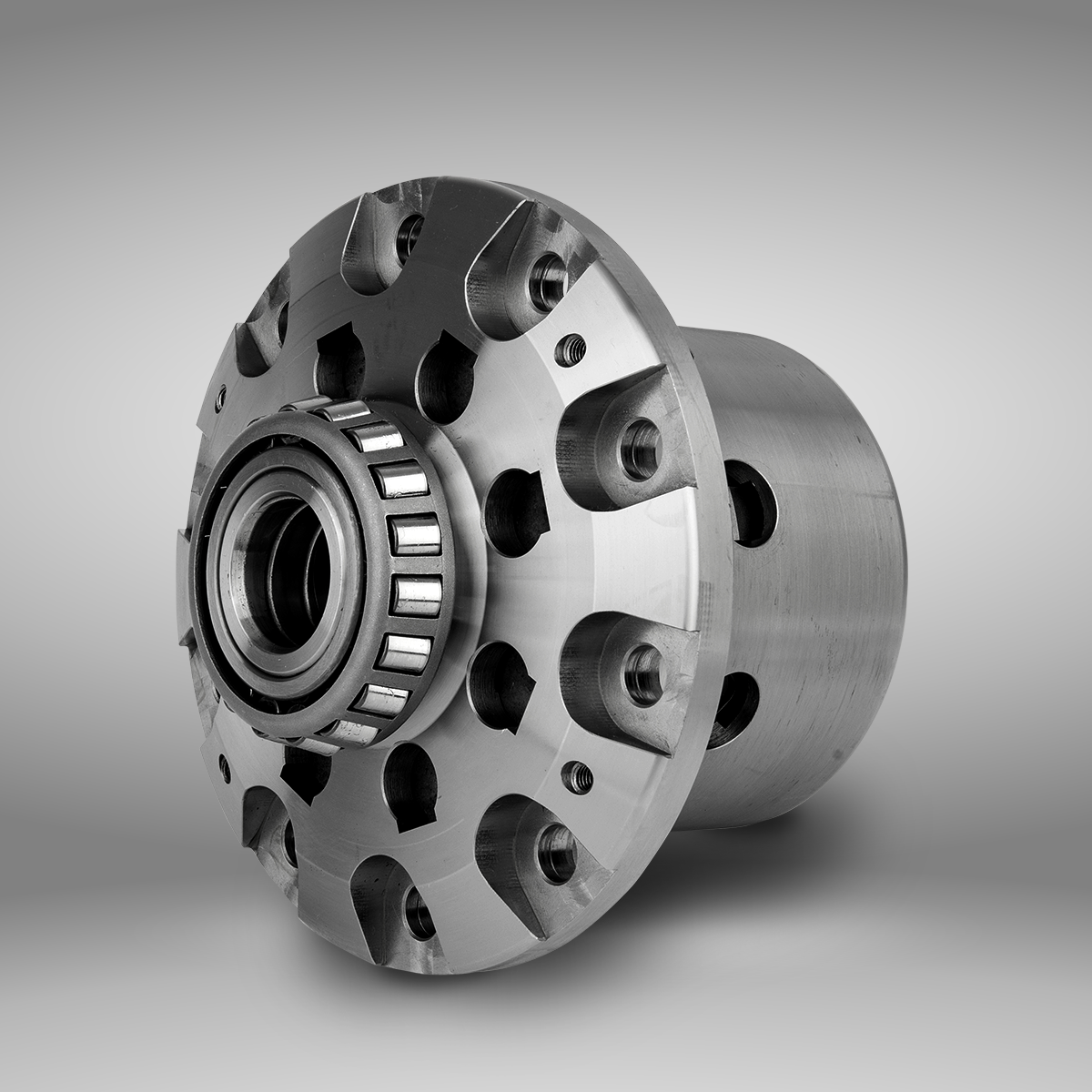 Skyline HCR32 / ENR33 / ECR33- Silvia S14 / Fairlady Z32 - LSD 1.5