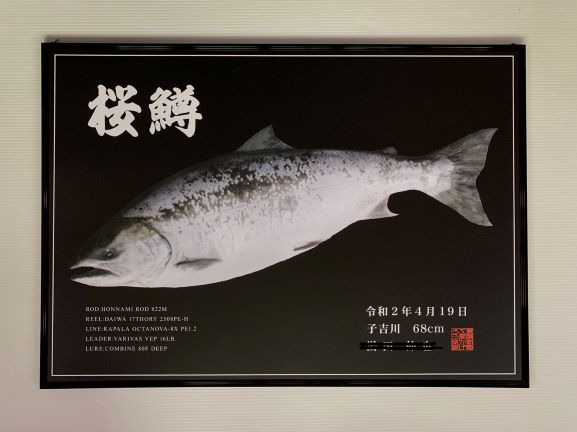 デジタルアーカイブ（魚拓） | 魚類剥製工房 かげろう