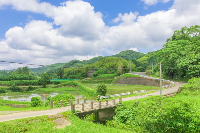岩下の棚田：日本の夏の原風景を求めて【薩摩川内市 入来町】 | 観光